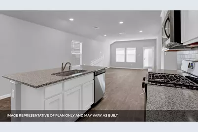 241 Mountain Pea Road, Kyle, TX 78640 - Photo 9