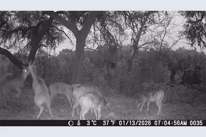 641 Patterson Creek Road, Leakey, TX 78873 - Photo 31