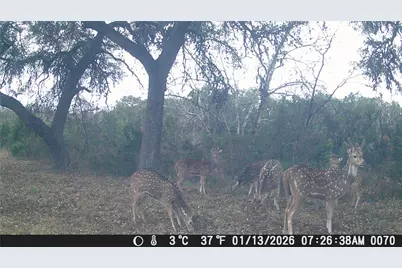 641 Patterson Creek Road, Leakey, TX 78873 - Photo 29