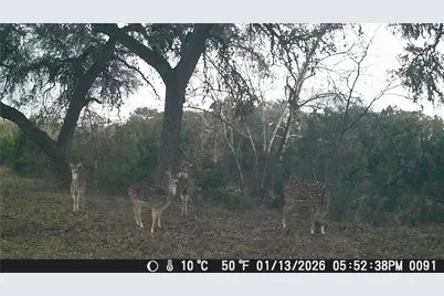 641 Patterson Creek Road, Leakey, TX 78873 - Photo 31