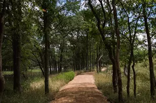 205 Las Posas Dr, Liberty Hill, TX 78642 - Photo 21