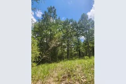 124 Paintbrush Lane, Bastrop, TX 78602 - Photo 3