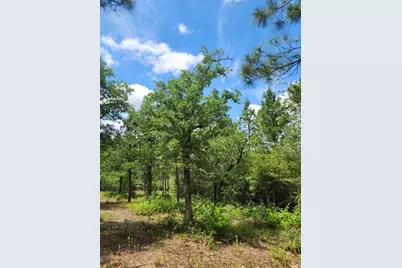 124 Paintbrush Lane, Bastrop, TX 78602 - Photo 13