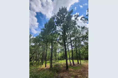 124 Paintbrush Lane, Bastrop, TX 78602 - Photo 11