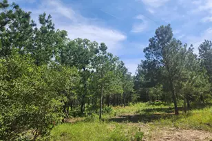 124 Paintbrush Ln, Bastrop, TX 78602 - Photo 1