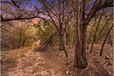 600 N Angel Light Drive, Spicewood, TX 78669 - Photo 17