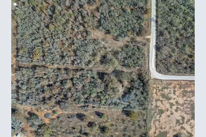 1050 Bugtussle Lane, Luling, TX 78648 - Photo 3