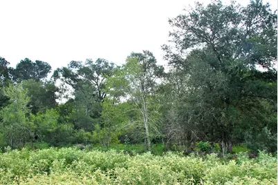 9590 Maynard Hallmark Road, Flatonia, TX 78941 - Photo 17