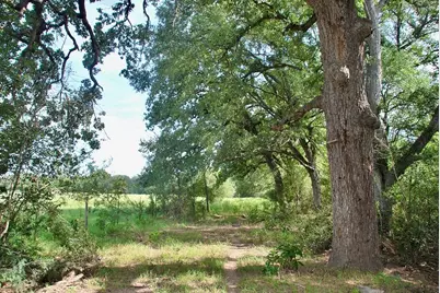 9590 Maynard Hallmark Road, Flatonia, TX 78941 - Photo 25
