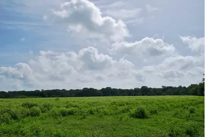 9590 Maynard Hallmark Road, Flatonia, TX 78941 - Photo 7