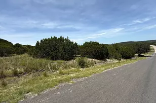 Lot 249 Woodhollow Dr, Bertram, TX 78681 - Photo 9