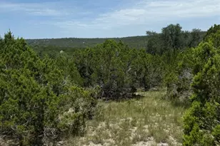 Lot 249 Woodhollow Dr, Bertram, TX 78681 - Photo 11