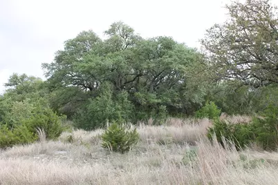 Lot 1 Saddle Ridge Drive, Bertram, TX 78605 - Photo 5