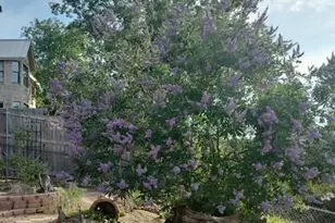 131 High Gabriel Dr, Leander, TX 78641 - Photo 31