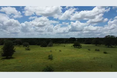 Tract D-2 Sh 95 Highway, Smithville, TX 78957 - Photo 13