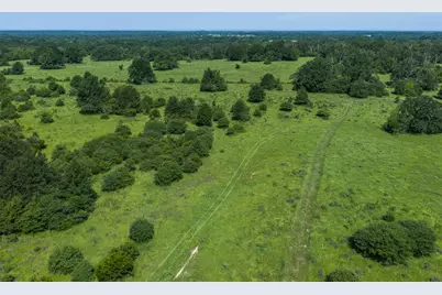 Tbd Fm 39, Jewett, TX 75846 - Photo 1