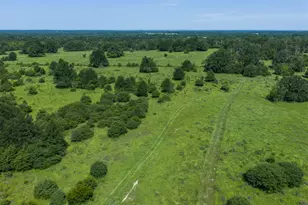 Tbd Fm 39, Jewett, TX 75846 - Photo 1