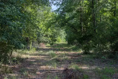 Tbd Fm 39, Jewett, TX 75846 - Photo 11