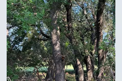 4209 Rockwood Drive, Lago Vista, TX 78645 - Photo 19