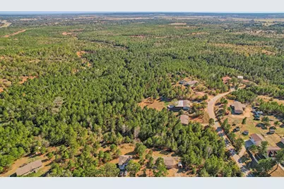 273 River Forest Drive, Bastrop, TX 78602 - Photo 37