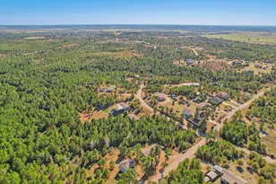 273 River Forest Dr, Bastrop, TX 78602 - Photo 29