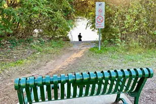 601 Hearn St, Austin, TX 78703 - Photo 37