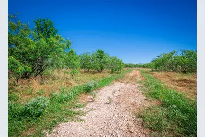 1435 County Road 429, Rockdale, TX 76567 - Photo 33