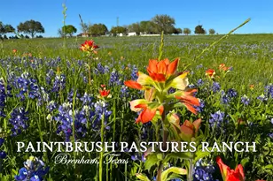 9058 Sam Houston Rd, Brenham, TX 77833 - Photo 1