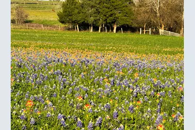 9058 Sam Houston Road, Brenham, TX 77833 - Photo 5