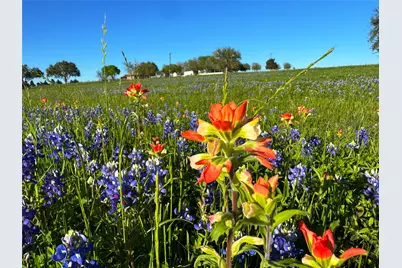 9058 Sam Houston Road, Brenham, TX 77833 - Photo 3