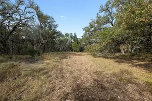 200 Ted Burger Rd, Dripping Springs, TX 78620 - Photo 1