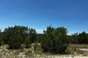 8532 Bronco Ln, Lago Vista, TX 78645 - Photo 1