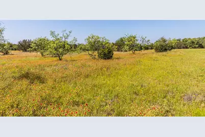 Tract 2 County Road 3300, Kempner, TX 76539 - Photo 13