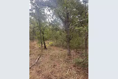 Lot 6 Spruce Street, Paige, TX 78659 - Photo 5
