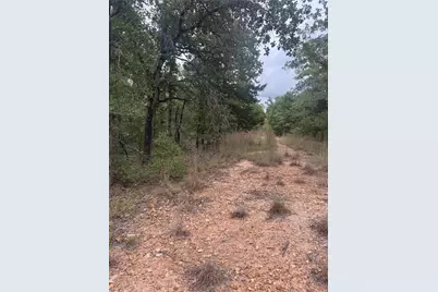 Lot 6 Spruce Street, Paige, TX 78659 - Photo 3