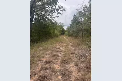 Lot 6 Spruce Street, Paige, TX 78659 - Photo 1