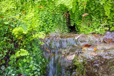 000 River Run, Leander, TX 78641 - Photo 15