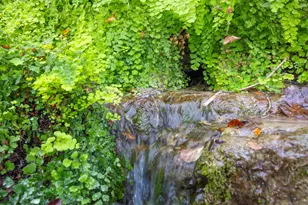 000 River Run, Leander, TX 78641 - Photo 15