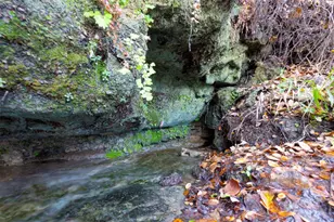 000 River Run, Leander, TX 78641 - Photo 17