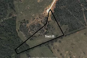 Tract 25 Walleye Creek, Lexington, TX 78947 - Photo 1