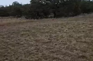 1115 Co Rd 220, Florence, TX 76527 - Photo 33