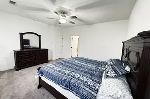 302 Georgia Lace Trail, Georgetown, TX 78626 - Photo 19