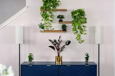 7906 Briarton Drive, Austin, TX 78747 - Photo 3