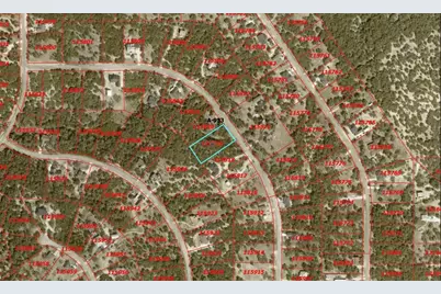 248 Kellog, Fischer, TX 78623 - Photo 5