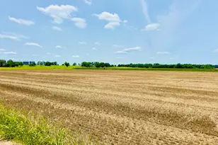 Tbd1 Fm 406, Buckholts, TX 76518 - Photo 1