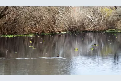 256 Greasy Bend, Smithville, TX 78957 - Photo 19