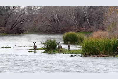 256 Greasy Bend, Smithville, TX 78957 - Photo 1