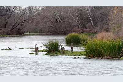 256 Greasy Bend Road, Smithville, TX 78957 - Photo 1