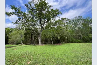 117 Allison Cove, Elgin, TX 78621 - Photo 3