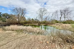 2501 Co Rd 228, Florence, TX 76527 - Photo 3